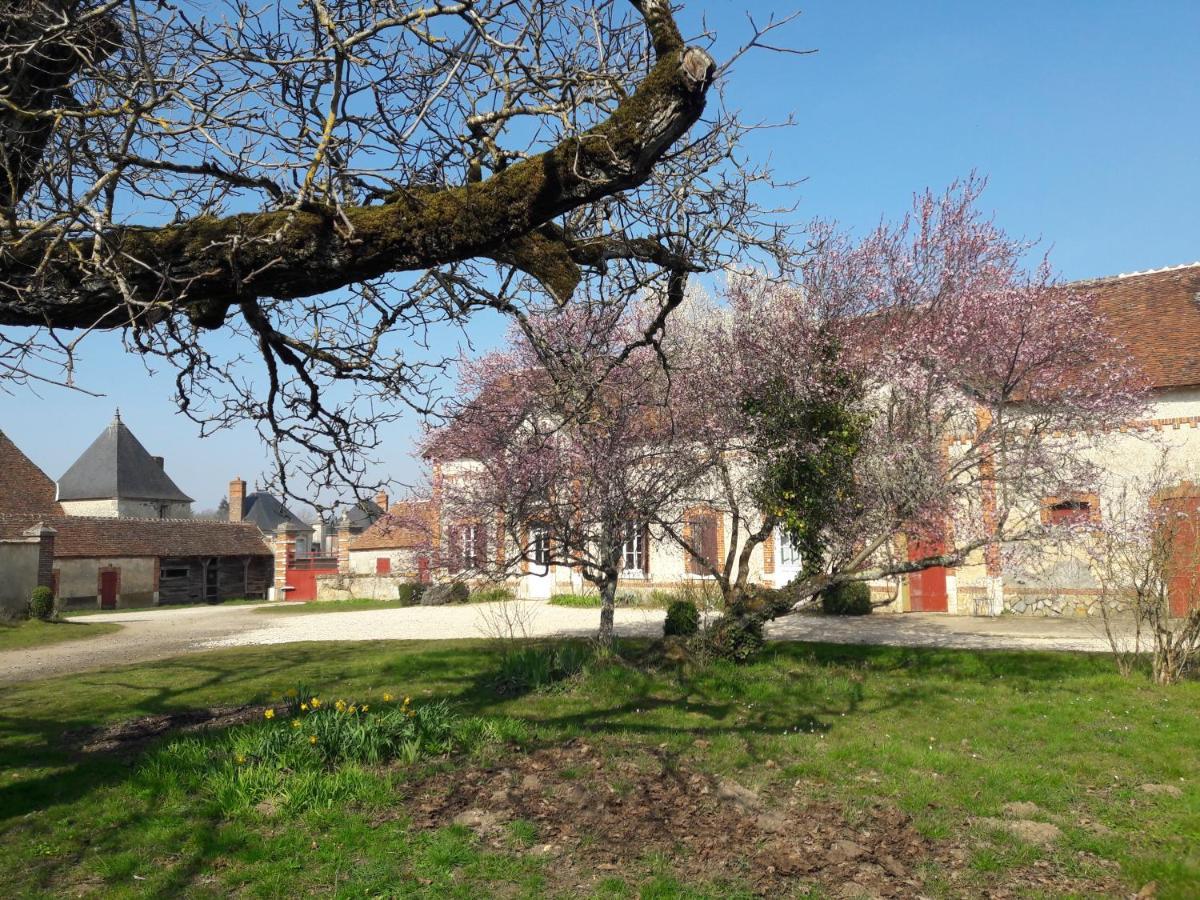Gite Du Chateau La Bussière Esterno foto